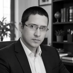 Mario Maldonado | Servicios y Proyectos