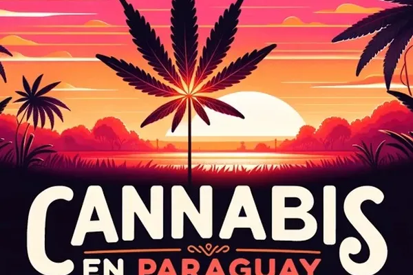 Portada de Cannabis en Paraguay | Divulgación científica sobre cannabis medicinal, cáñamo y regulación