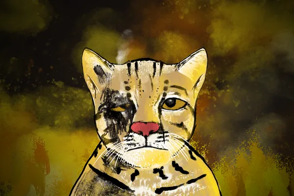 Portada de Mathias Maciel