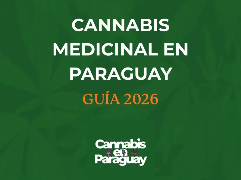 Imagen de Guía 2026 - CANNABIS MEDICINAL EN PARAGUAY