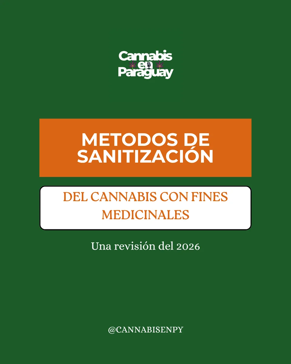 Cómo se limpia el cannabis medicinal