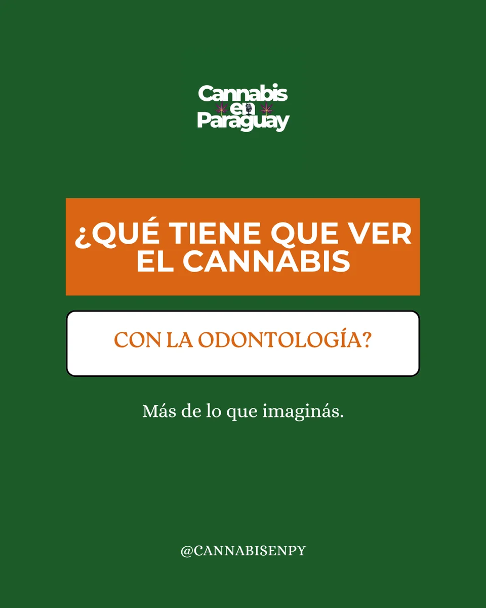 ¿Qué tiene que ver el cannabis con la odontología?