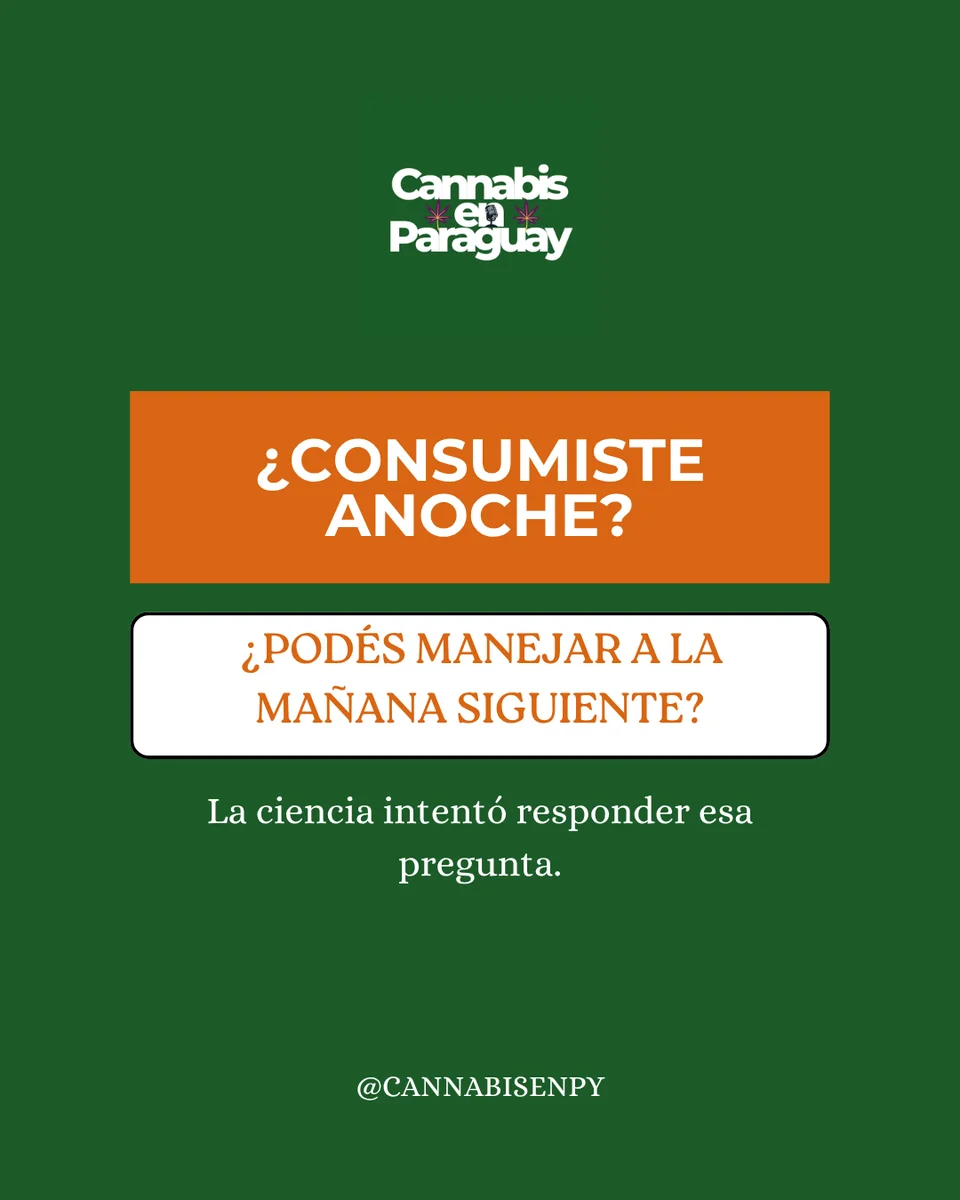 Cuándo Podés Manejar Después de Consumir Cannabis