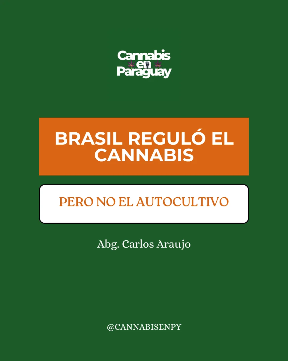 Cannabis, Justicia y Reparación Histórica en Brasil