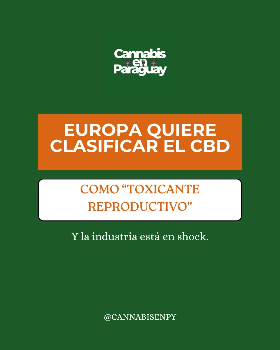 Europa quiere clasificar el CBD como tóxico reproductivo